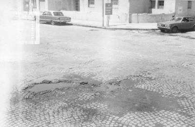 Savio y Ameghino