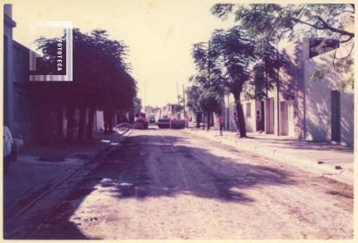 Calle 25 de Mayo. Pavimentación.