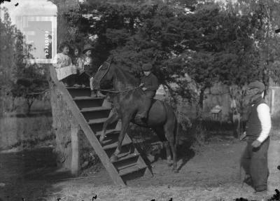 Caballo con patas delanteras sobre escalera con niños