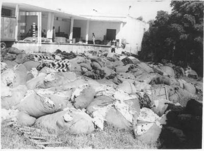Inundación 1966