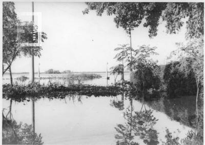Desde frente Portería Club de Regatas hacia el río