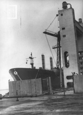 Puerto Nuevo, elevadores