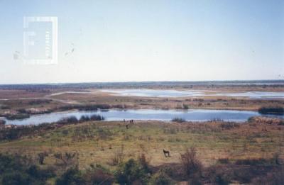 Vista del Arroyo Yaguarón e islas.