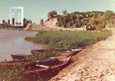 Zona Costanera y Yaguarón