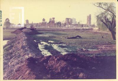 Zona Costanera y Yaguarón