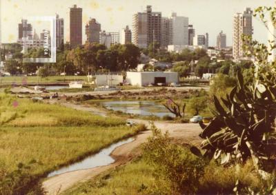 Zona Costanera y Yaguarón