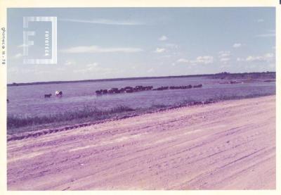 Zona Balneario y Yaguarón