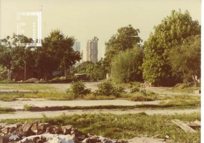 Erradicación de Villa Pulmón