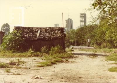 Erradicación de Villa Pulmón