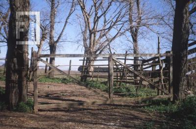 Corral en ex casa de López Arias