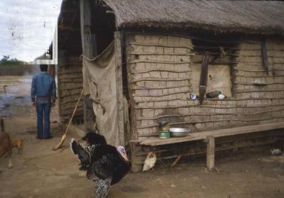 Vivienda en la isla
