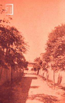 Bajada calle Belgrano, año 1905/6