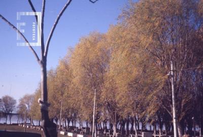Club de Pescadores, monte