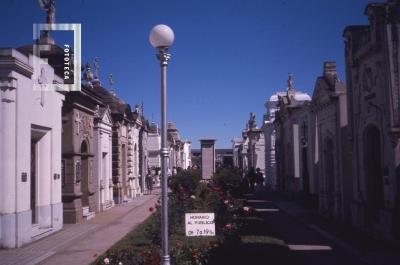 Avenida Central del Cementerio