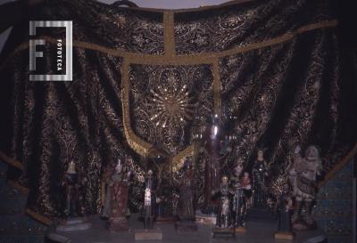 Colección Dr. Chapuis