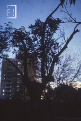 Atardecer desde el fondo del Museo, edificio calle Sarmiento