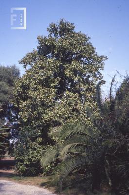 Quinta San Isidro, de la familia Vigo