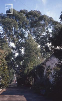 Quinta San Isidro, de la familia Vigo