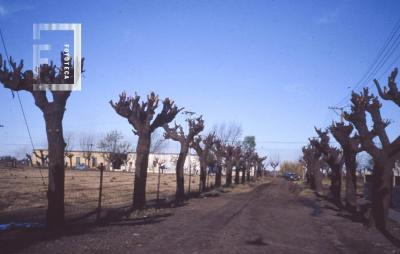 Villa Hermosa, calle de entrada a la ex Fábrica de Papel
