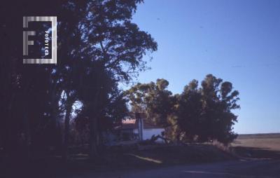 Camino bajada al Yaguarón, cerca de la Caminera