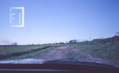 Camino en Circuito Parque