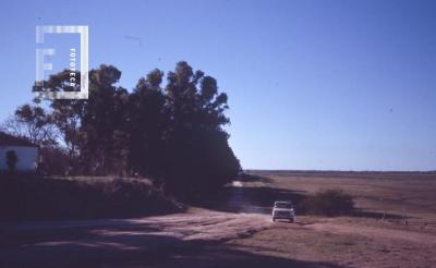 Camino al Yaguarón