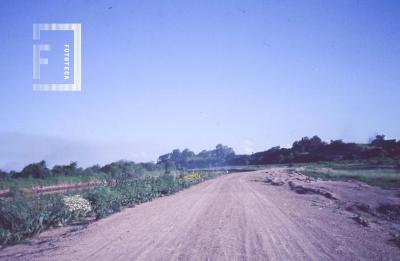 Camino en Circuito Parque