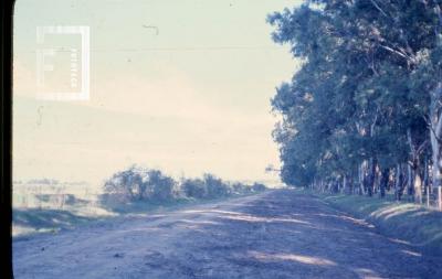 Camino entrada al Yaguarón