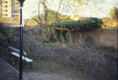 Museo Municipal. Jardín fondo