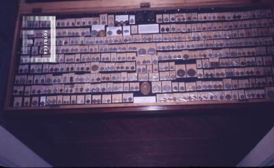 Museo Municipal. Medallas San Nicolás