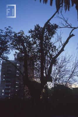 Museo Municipal. Jardín fondo y edificio calle Sarmiento