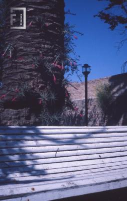 Museo Municipal. Banco