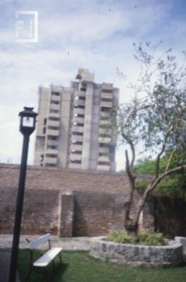 Fondo parque