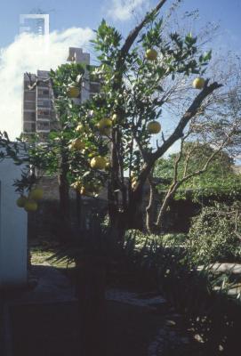 Jardín Museo