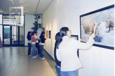 Complejo Cultural Teatro Municipal. Muestra Fundación Proa