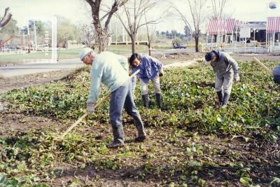 Dirección de Serv. Públicos Municipalidad. Trabajos en la Costanera y Plaza Náutica