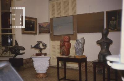 Exposición en Museo Municipal