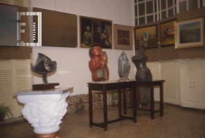 Exposición en Museo Municipal