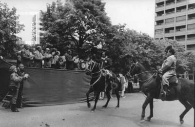 Desfile tradicionalista