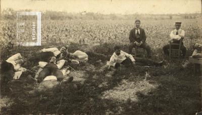 Grupo en el campo