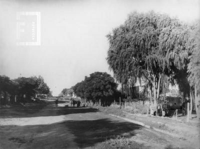 Avenida Alberdi entre Sarmiento y Francia