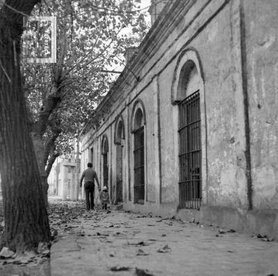 Casa av. Moreno casi Alberdi en otoño
