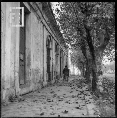 Casa av. Moreno casi Alberdi en otoño