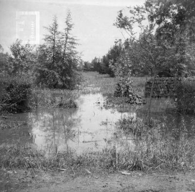 Jardines quinta Glaría en Parque Avambae inundados, 10-11-1959