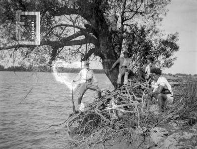 En la costa, sobre raíces árbol