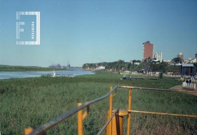 Camalotal junto a la Costanera