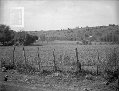 Paisaje de Córdoba