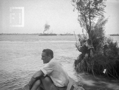 Excursión a la isla