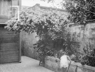 Nelly Bustos en patio casa Nación 122