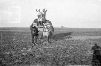 Carro en el campo de Müller, en Godoy